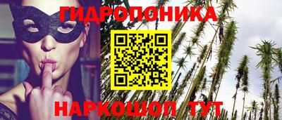 стафф Донской