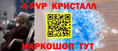стафф Донской