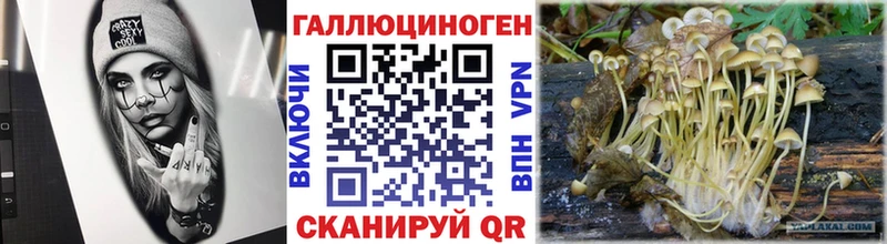 где можно купить наркотик  Междуреченск  Галлюциногенные грибы ЛСД 