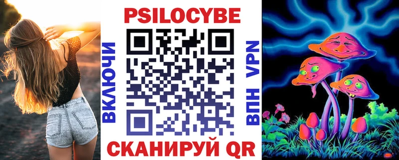 Галлюциногенные грибы Psilocybine cubensis Междуреченск