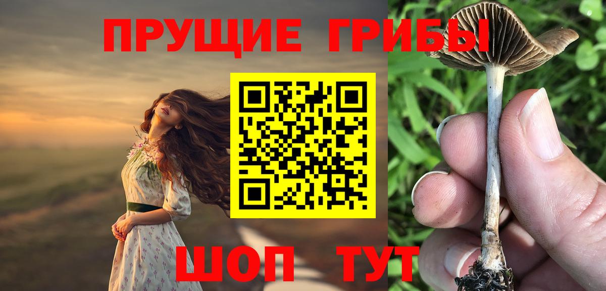 Галлюциногенные грибы Psilocybine cubensis  хочу   Галлюциногенные грибы мухоморы  Междуреченск  Вход с VPN 
