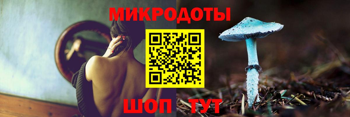 Галлюциногенные грибы Psilocybe Междуреченск